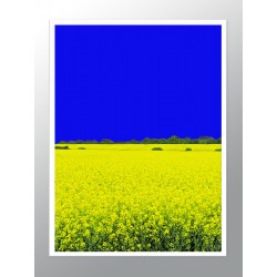 Постер "Ukraine"