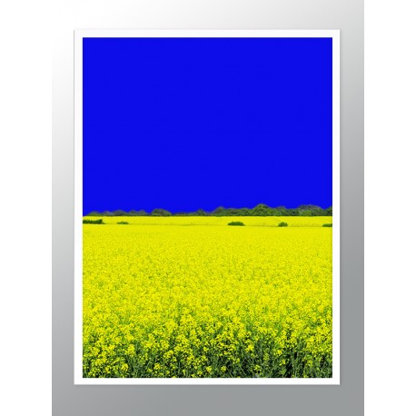 Постер "Ukraine"