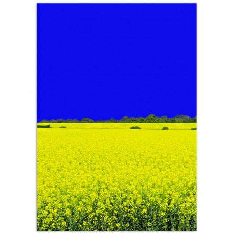 Постер "Ukraine"