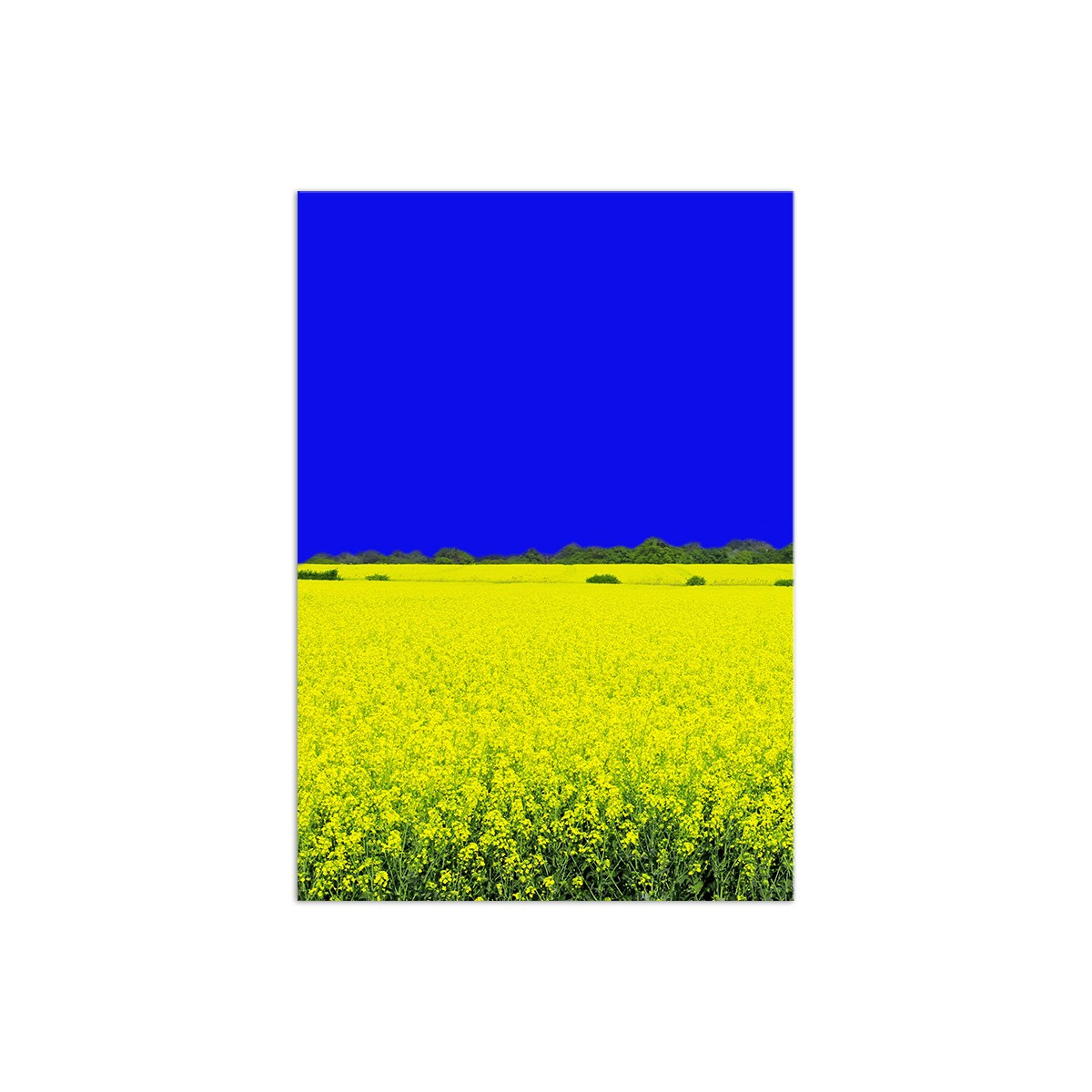 Постер "Ukraine"