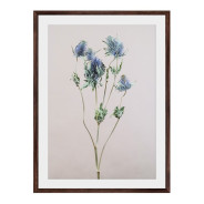 Постер "Floral"