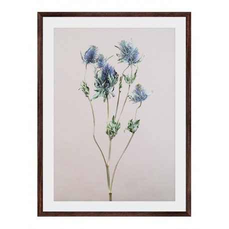 Постер "Floral"