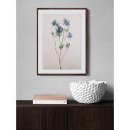 Постер "Floral"