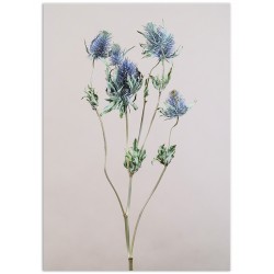 Постер "Floral"