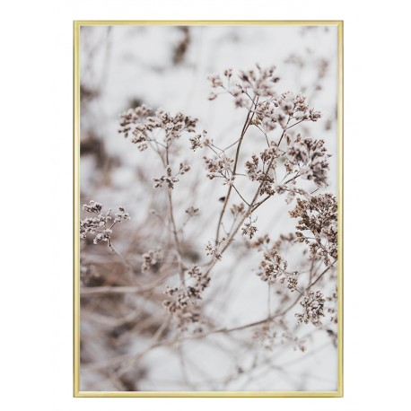 Постер "Dried Flower Aesthetic"