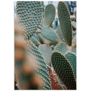 Постер "Cactus"