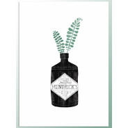 Постер "Gin"