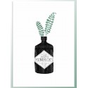 Постер "Gin"
