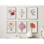 Постер "Botany. Flowers"