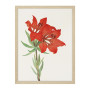 Постер "Botany. Flowers"