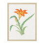 Постер "Botany. Flowers"