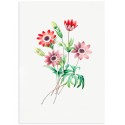 Постер "Botany. Flowers"