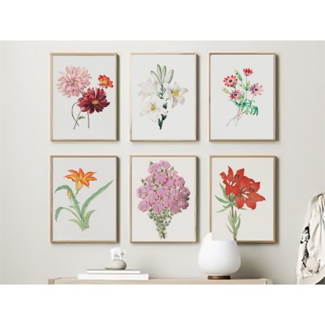 Постер "Botany. Flowers"