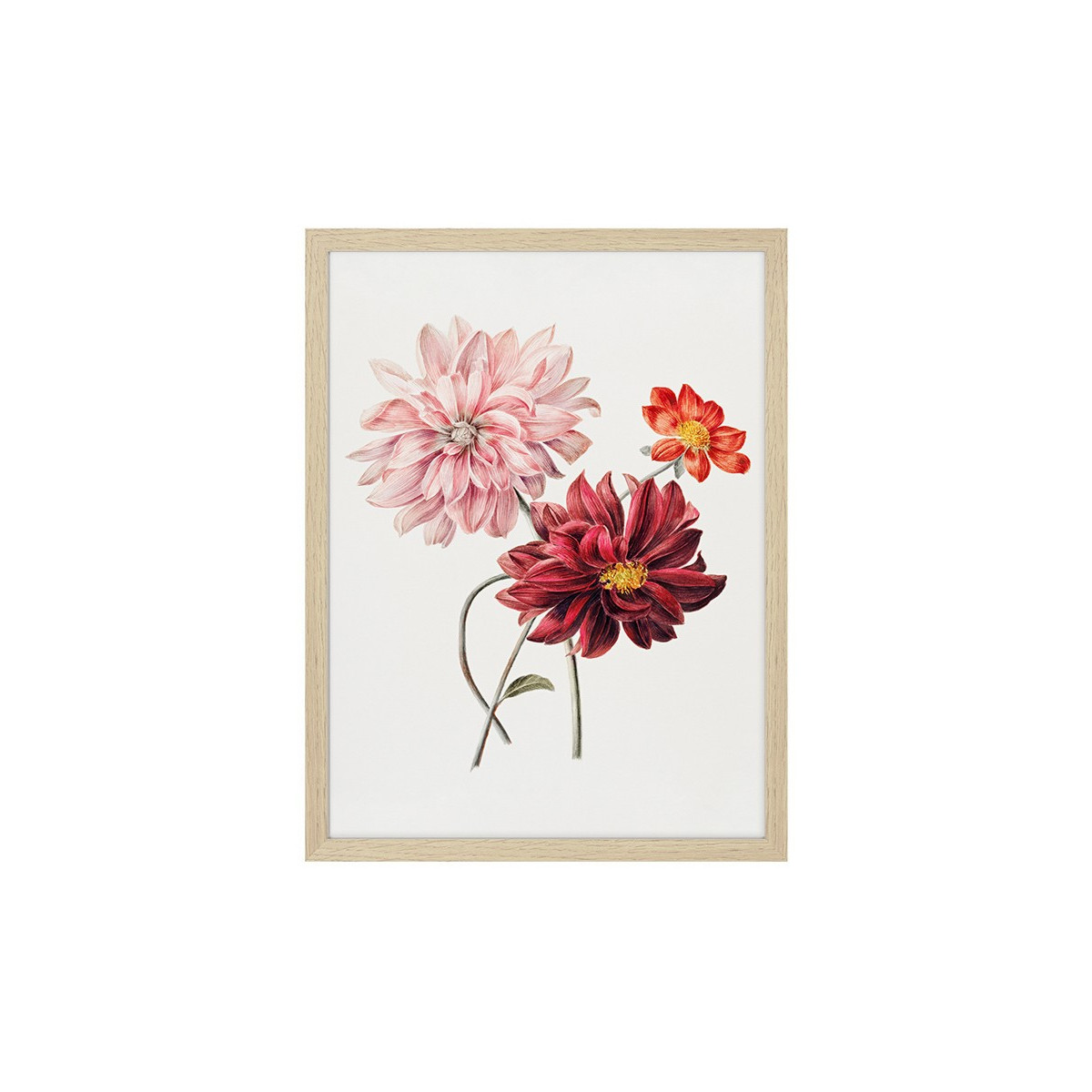 Постер в рамке "Botany. Butterflies"