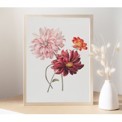 Постер в рамке "Botany. Butterflies"