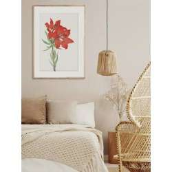 Постер в рамке "Botany. Butterflies"