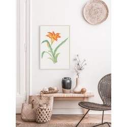 Постер в рамці "Flowers. Botany"