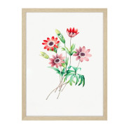 Постер в рамке "Botany. Butterflies"