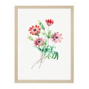 Постер в рамке "Botany. Butterflies"