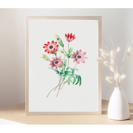 Постер в рамці "Flowers. Botany"