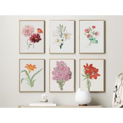 Постер в рамці "Flowers. Botany"
