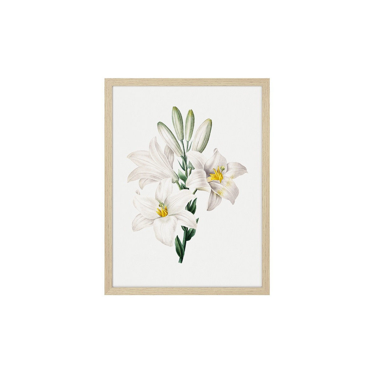 Постер в рамці "Flowers. Botany"