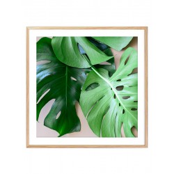 Комплект постеров в рамках "Monstera"