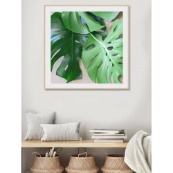 Комплект постеров в рамках "Monstera"