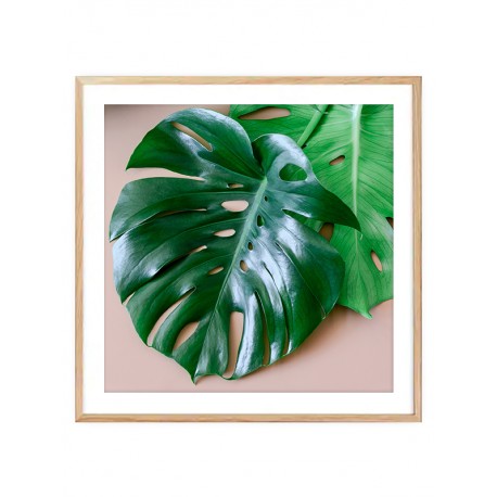 Комплект постеров в рамках "Monstera"
