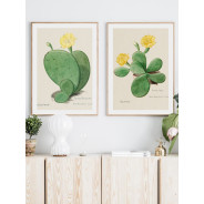 Комплект постеров в рамках "Cactus"