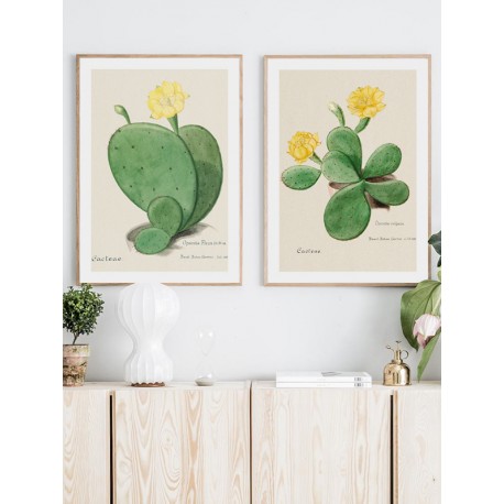 Комплект постеров в рамках "Cactus"