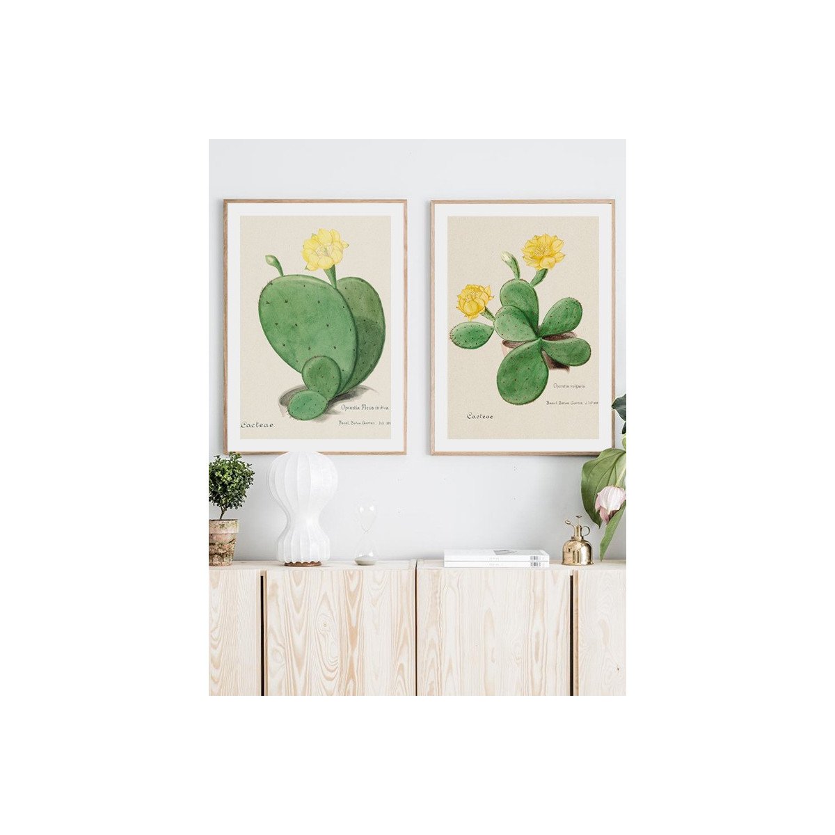 Комплект постеров в рамках "Cactus"