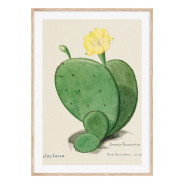 Комплект постеров в рамках "Cactus"