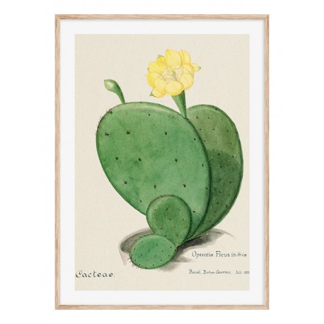 Комплект постеров в рамках "Cactus"