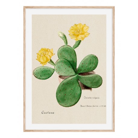Комплект постеров в рамках "Cactus"