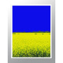 Комплект постеров в рамках "Yellow-blue"