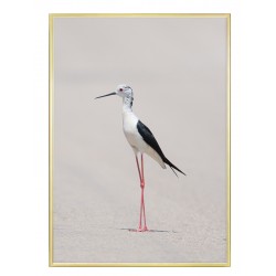 Комплект постерів в рамках "Burgundy ART"