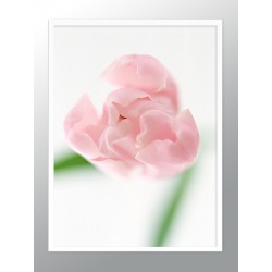 Комплект постерів в рамках "Powder Art"