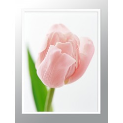 Комплект постеров в рамках "Powder Art"