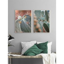 Комплект постеров в рамках "Tropics"