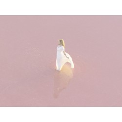 Постер в рамке "Lady"