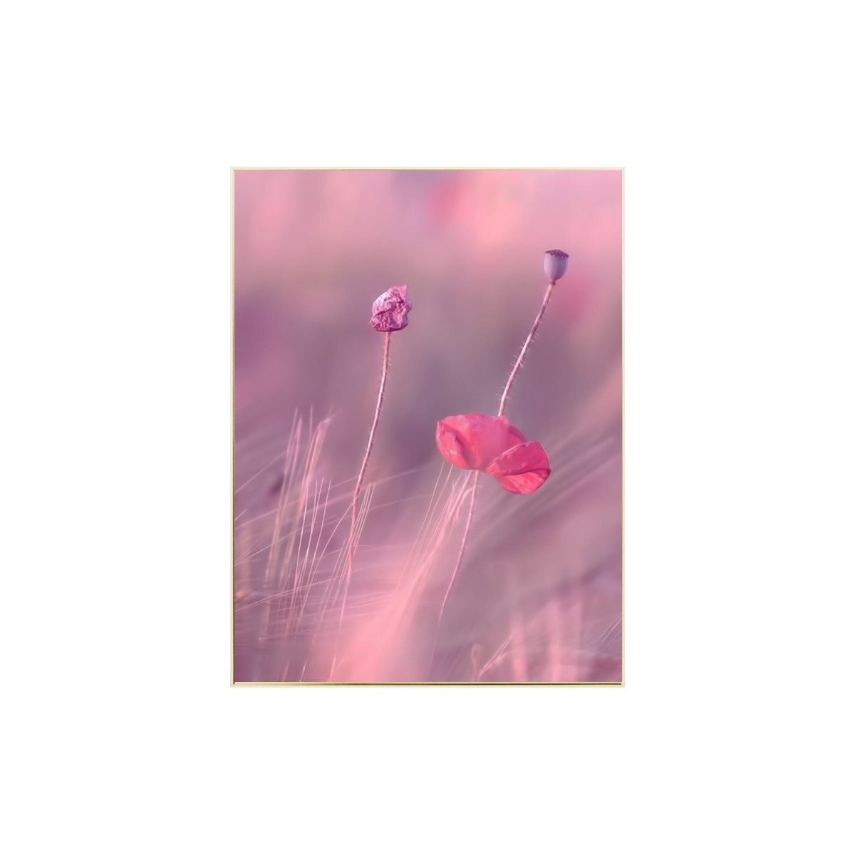Постер в рамці "Pink love"