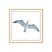 Постер в рамке "Gull"