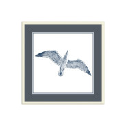 Постер в рамке "Gull"