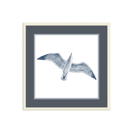 Постер в рамке "Gull"