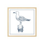 Постер в рамке "Gull"