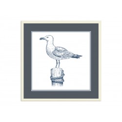 Постер в рамке "Gull"