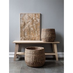 Постер в рамці "Dried flower"