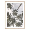 Постер в рамці "Palms"