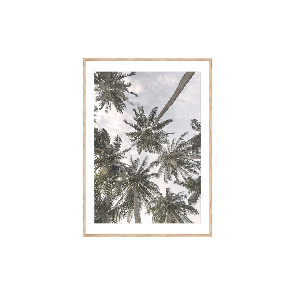 Постер в рамке "Palms"